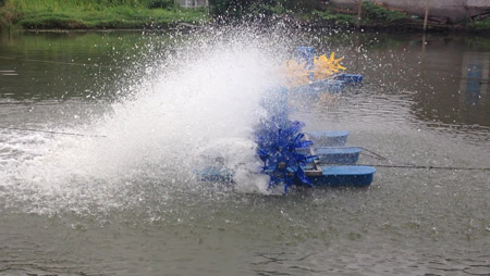 Čo určuje usporiadanie prevzdušňovačov rybníkov