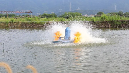 Výber a montáž prevzdušňovača rybníkov